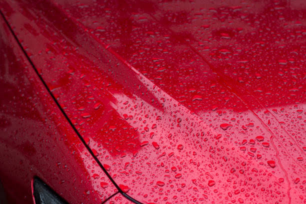 Water beading on a ceramic-coated red vehicle showing hydrophobic paint protection at Studio One Protection in Tri-Cities, WA.